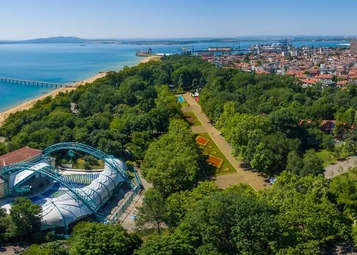 Martini ブルガス